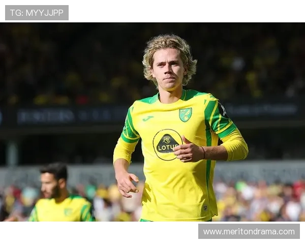 英超诺维奇主教练:诺里奇城主帅的执教经历与战术特点 英超诺维奇主教练:诺里奇城主帅的执教经历与战术特点