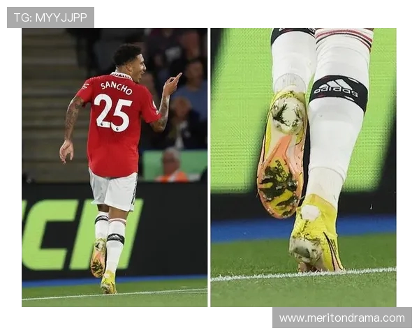 英超球员比赛穿着的球鞋品牌统计 英超球员比赛穿着的球鞋品牌统计